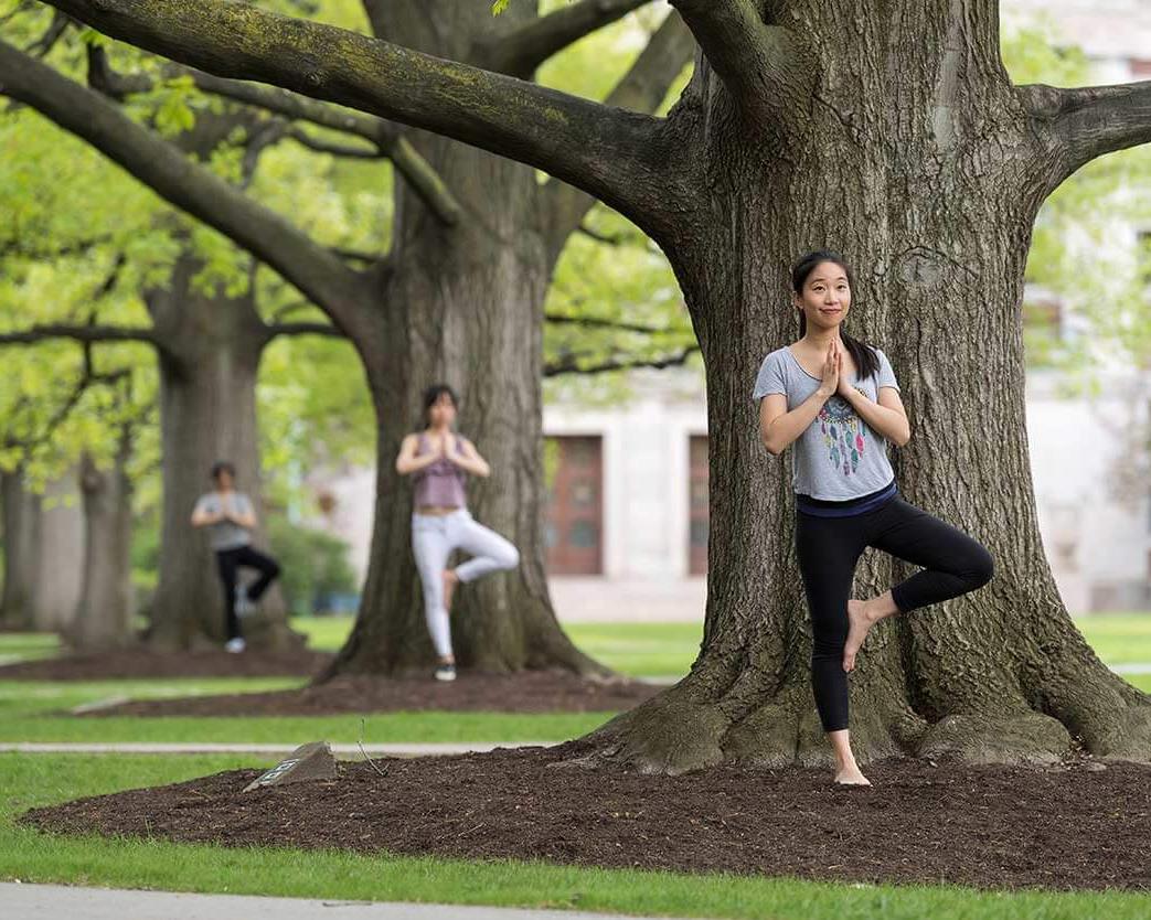 amjs澳金沙门的三个学生站在三棵树前做瑜伽树式